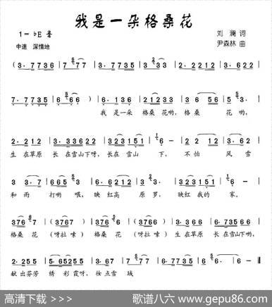 我是一朵格桑花 - 刘澜|尹森林