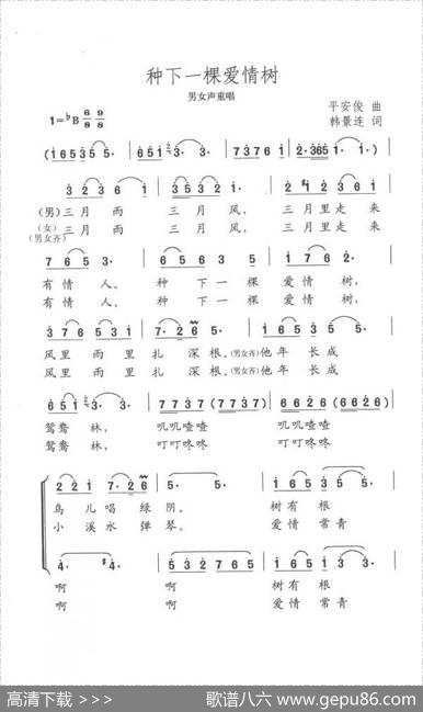 种下一棵爱情树（韩景连词平安俊曲） - 韩景连|平安俊