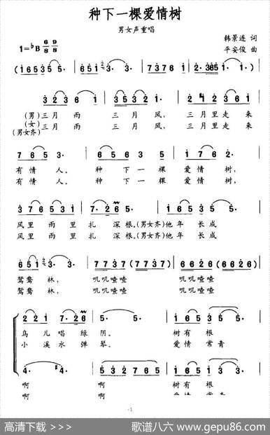 种下一棵爱情树（韩景连词平安俊曲） - 韩景连|平安俊