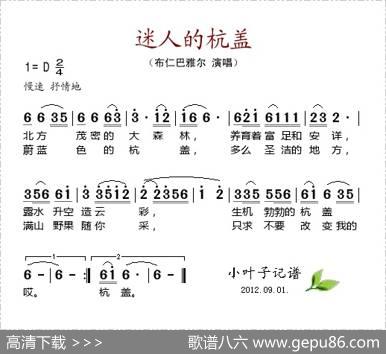 迷人的杭盖