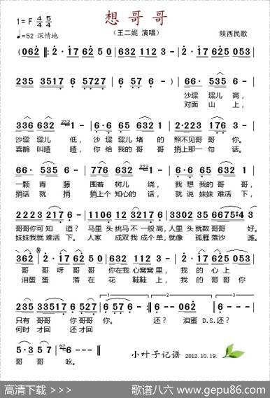 想哥哥（王二妮演唱版）