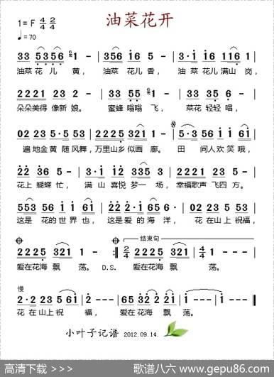 油菜花开