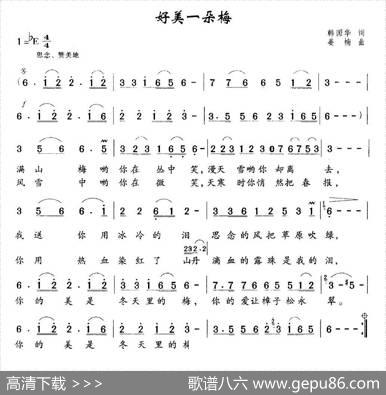 好美一朵梅 - 韩国华|姜楠