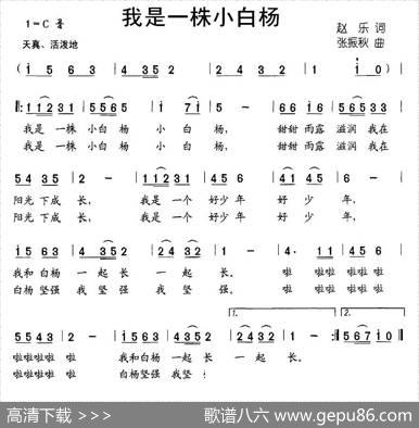 我是一株小白杨 - 赵乐|张振秋