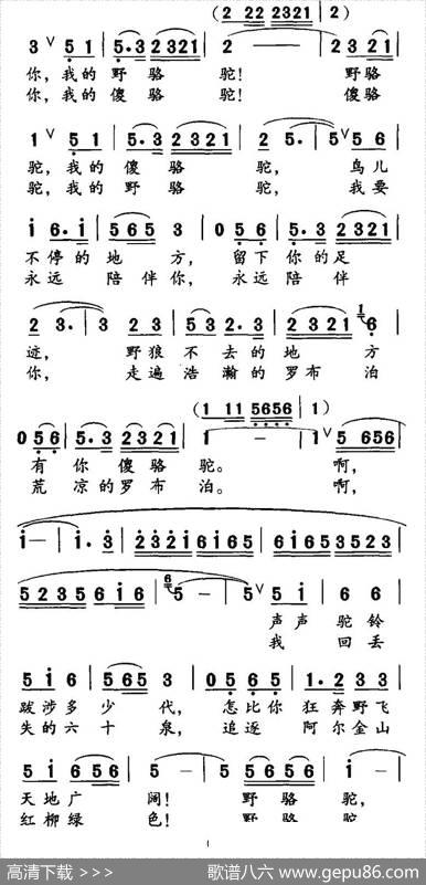 野骆驼傻骆驼（高枫词胡绍正曲） - 高枫|胡绍正