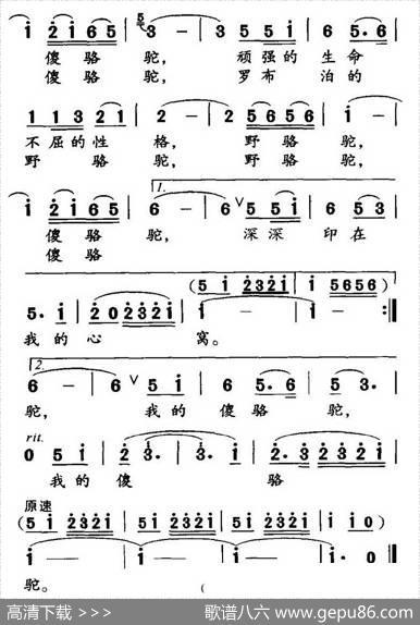 野骆驼傻骆驼（高枫词胡绍正曲） - 高枫|胡绍正