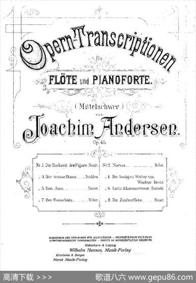 Opern-Transcriptionen.Op.45-2