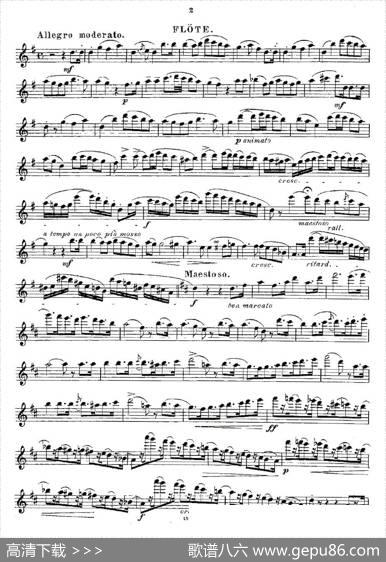Opern-Transcriptionen.Op.45-2