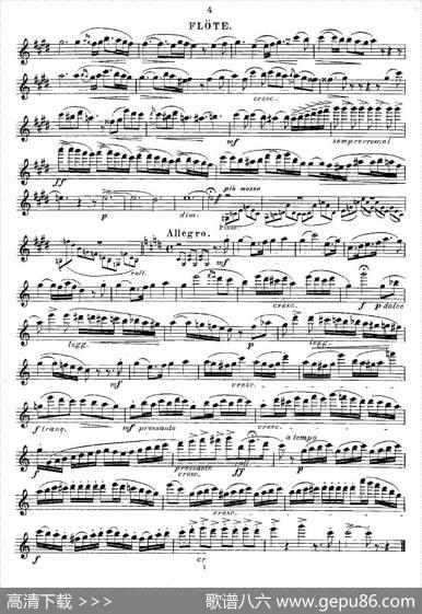 Opern-Transcriptionen.Op.45-2