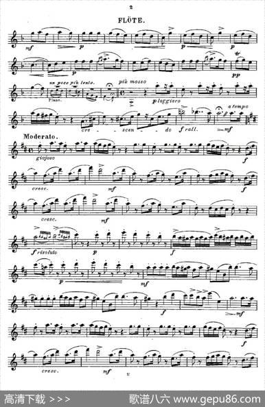 Opern-Transcriptionen.Op.45-5