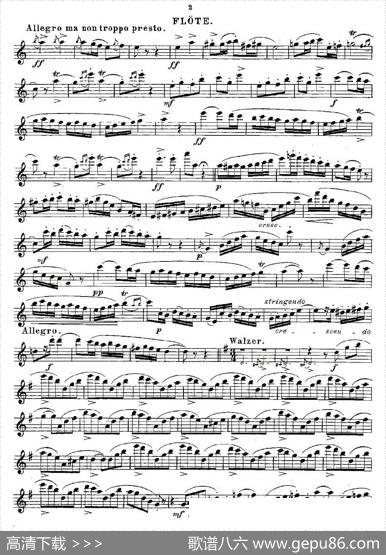 Opern-Transcriptionen.Op.45-7