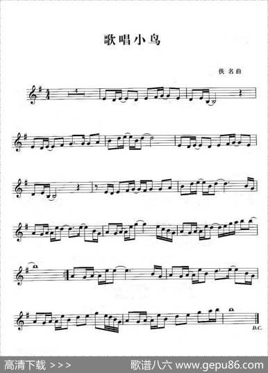 歌唱小鸟