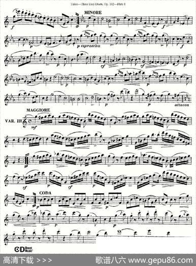 ThreeEasyDuets,Op.102之第一长笛（三首简易重奏曲作品102号）|Tulou（图露）