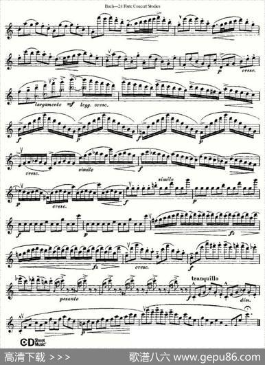 Bach-24FlutcConcertStudies之6—10（巴赫—24首长笛音乐会练习曲）|Bach（巴赫）