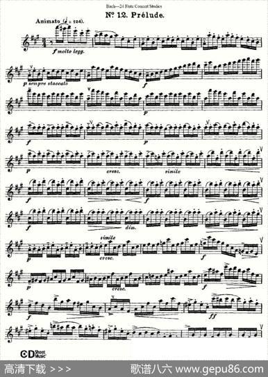 Bach-24FlutcConcertStudies之11—15（巴赫—24首长笛音乐会练习曲）|Bach（巴赫）