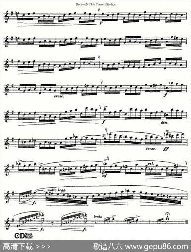 Bach-24FlutcConcertStudies之11—15（巴赫—24首长笛音乐会练习曲）|Bach（巴赫）