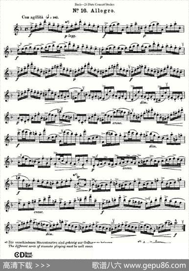 Bach-24FlutcConcertStudies之16—19（巴赫—24首长笛音乐会练习曲）|Bach（巴赫）