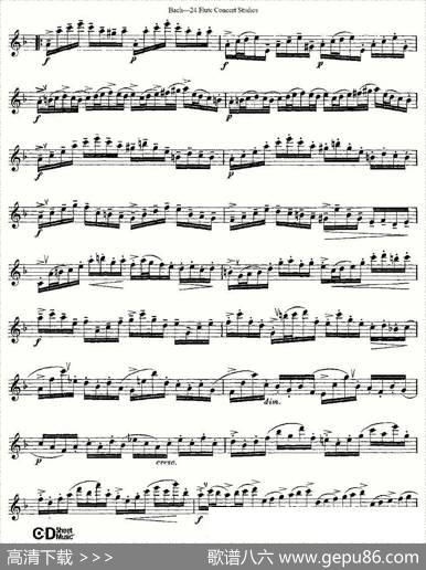 Bach-24FlutcConcertStudies之16—19（巴赫—24首长笛音乐会练习曲）|Bach（巴赫）