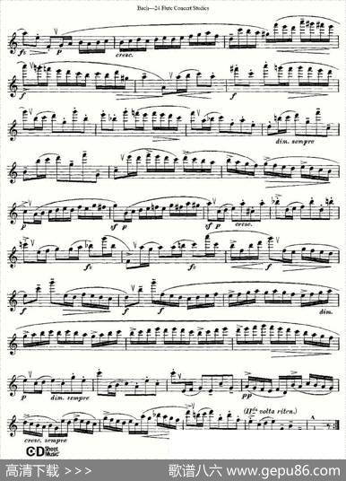 Bach-24FlutcConcertStudies之16—19（巴赫—24首长笛音乐会练习曲）|Bach（巴赫）