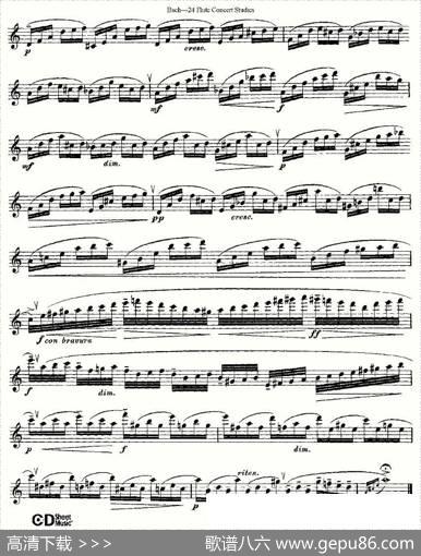 Bach-24FlutcConcertStudies之20—24（巴赫—24首长笛音乐会练习曲）|Bach（巴赫）