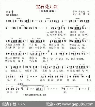 宝石花儿红 - 雷平、冯继先|宝文、伟男