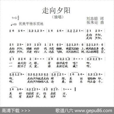 走向夕阳 - 刘志毅|张朱论