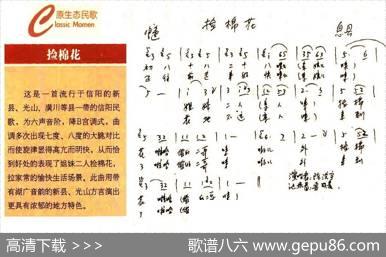 捡棉花（原生态河南信阳民歌）