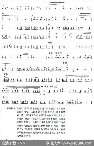 快乐的小笛手|徐国屏
