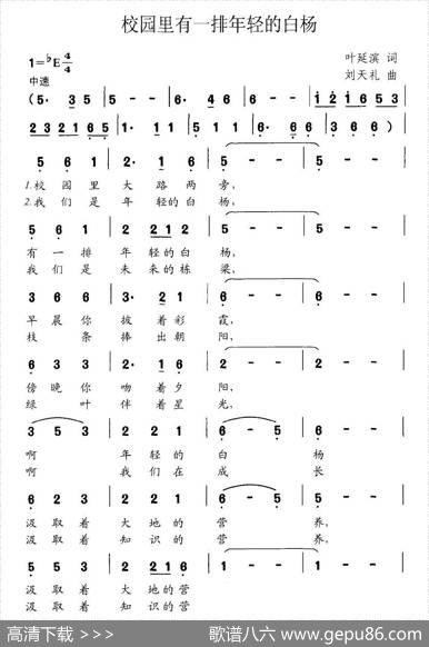 校园里有一排年轻的白杨 - 叶延滨|刘天礼
