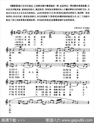 茉莉花（河北南皮）