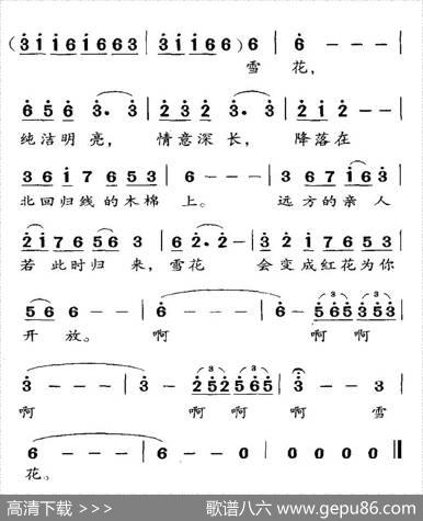 回归雪 - 郑南|李君