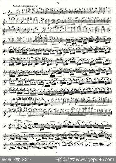 Andersenetudeop30之13—24（练习曲作品30号）|Andersen、（安德森）