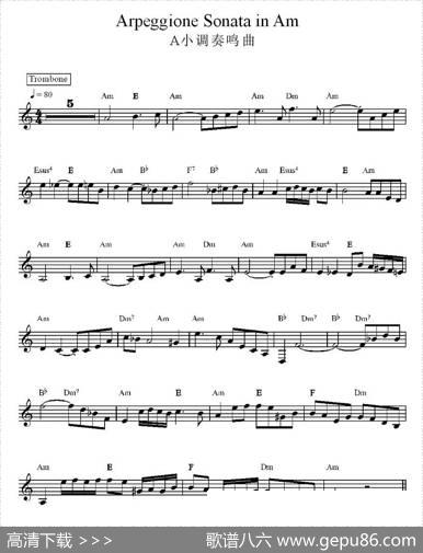 A小调奏鸣曲