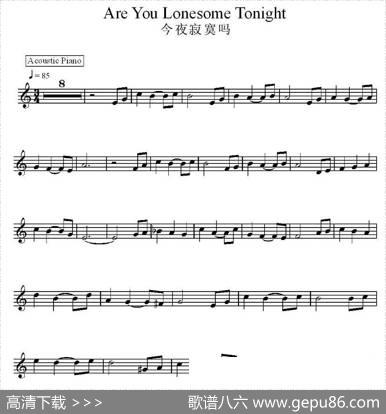 今夜寂寞吗