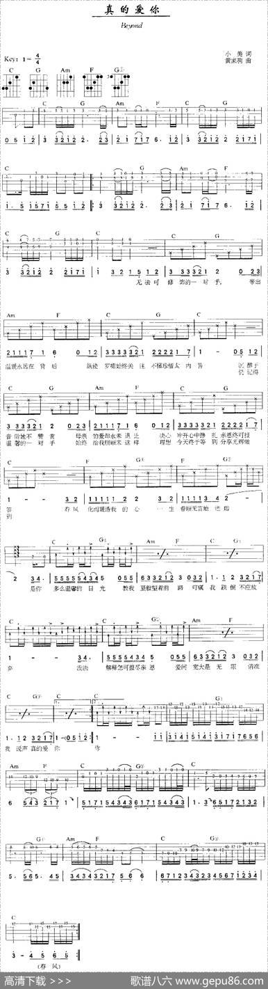 真的爱你 - 小美|黄家驹