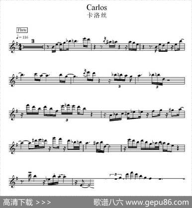 卡洛丝