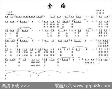 金婚（李显青词王激曲） - 李显青|王激