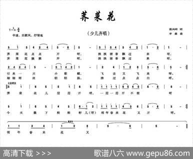 荠菜花 - 陈兴岭|李森