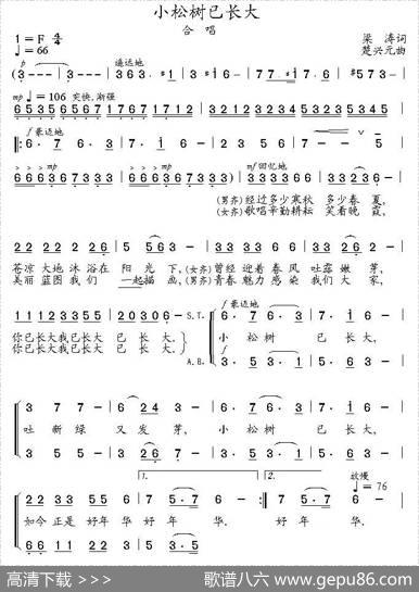小松树已长大 - 梁涛|楚兴元