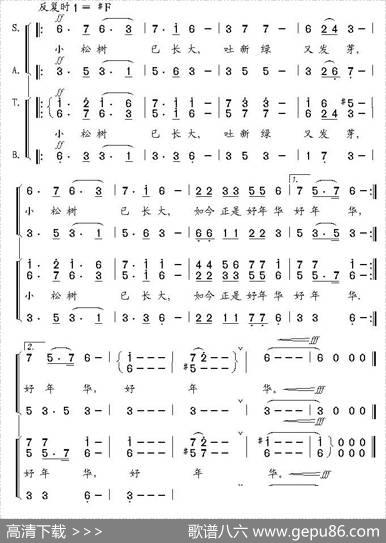小松树已长大 - 梁涛|楚兴元