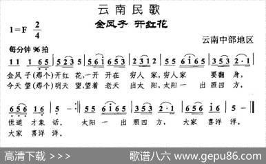 金凤子开红花|云南民歌