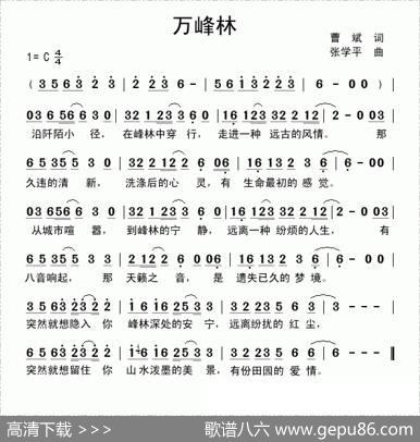 万峰林 - 曹斌|张学平