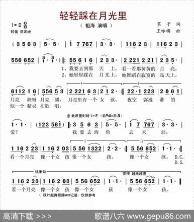 轻轻踩在月光里 - 苇子|王咏梅