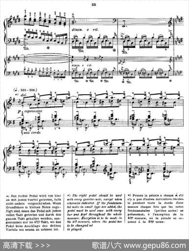 肖邦《练习曲》Fr.ChopinOp.25No5-1|Godowsky改编