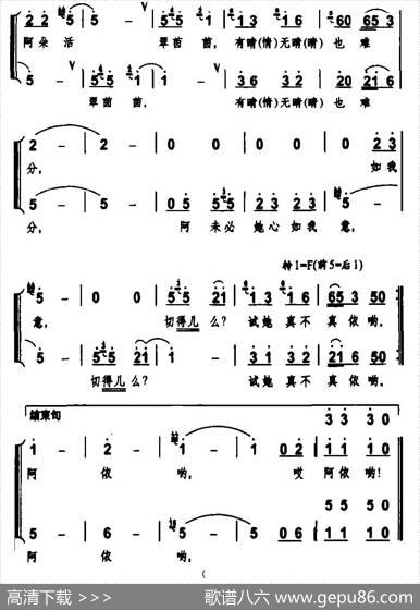 金花阿鹏唱歌来 - 杨红斌|杨红斌