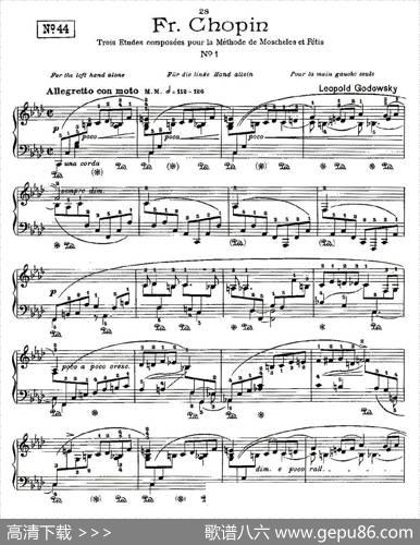 肖邦《练习曲》Fr.ChopinNo1|Godowsky改编