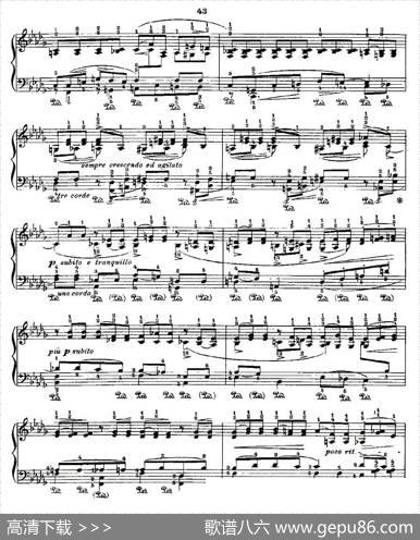 肖邦《练习曲》Fr.ChopinNo2-2|Godowsky改编