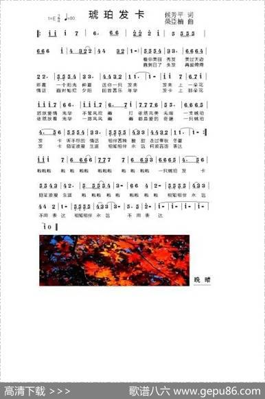 琥珀发卡 - 侯芳平|荣亚楠