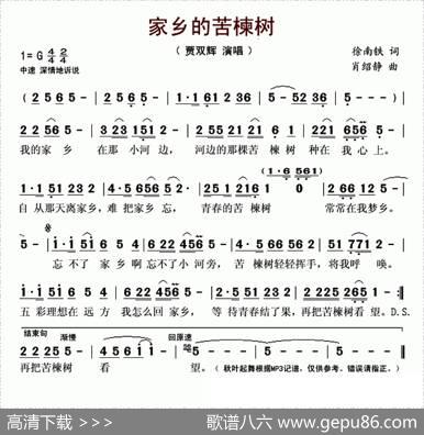 家乡的苦楝树 - 徐南铁|肖绍静