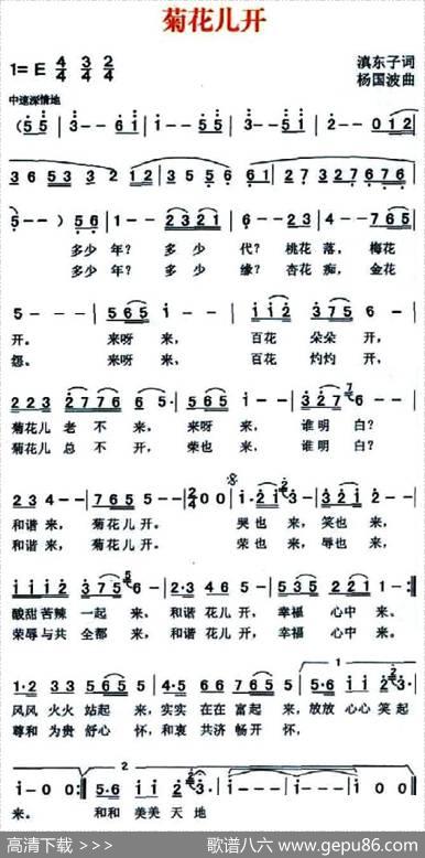 菊花儿开 - 滇东子|杨国波